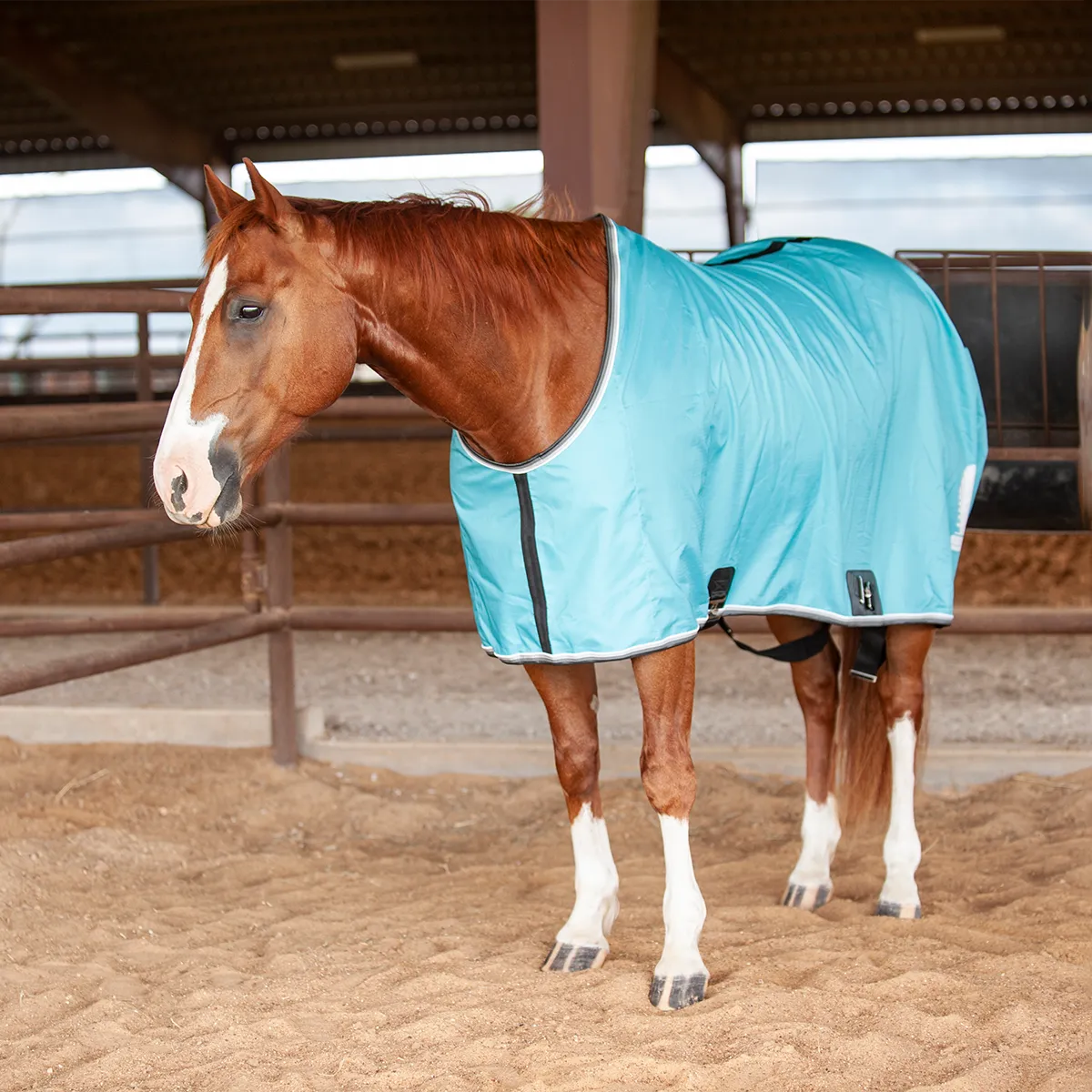 Classic Equine Closed Front Stable Sheet-Turquoise