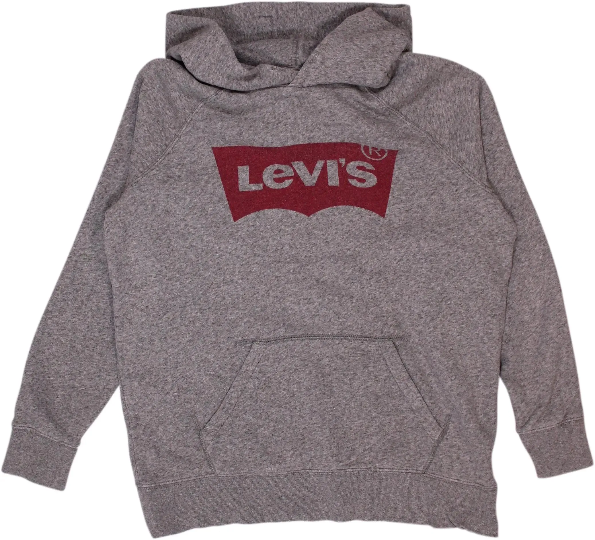 Grey Hoodie by Levi's | ThriftTale