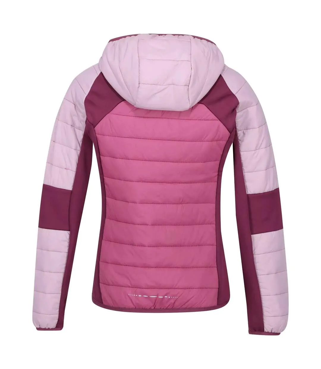 Womens/ladies trutton lightweight padded jacket violet/fragrant lilac/amaranth haze Regatta